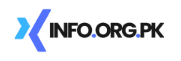 InfoOrgPK Logo